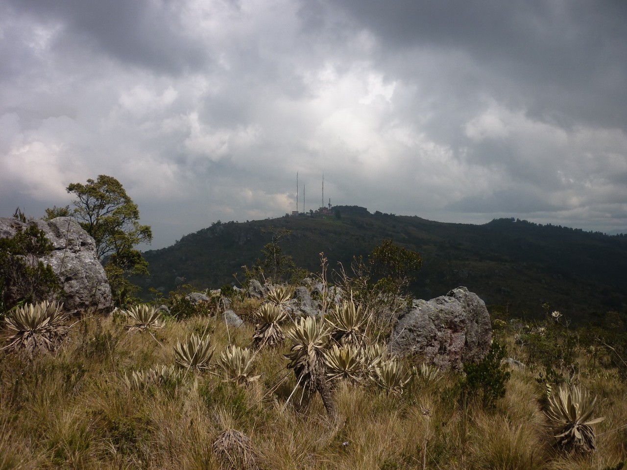 Sentier de jonction face aux 4 antennes