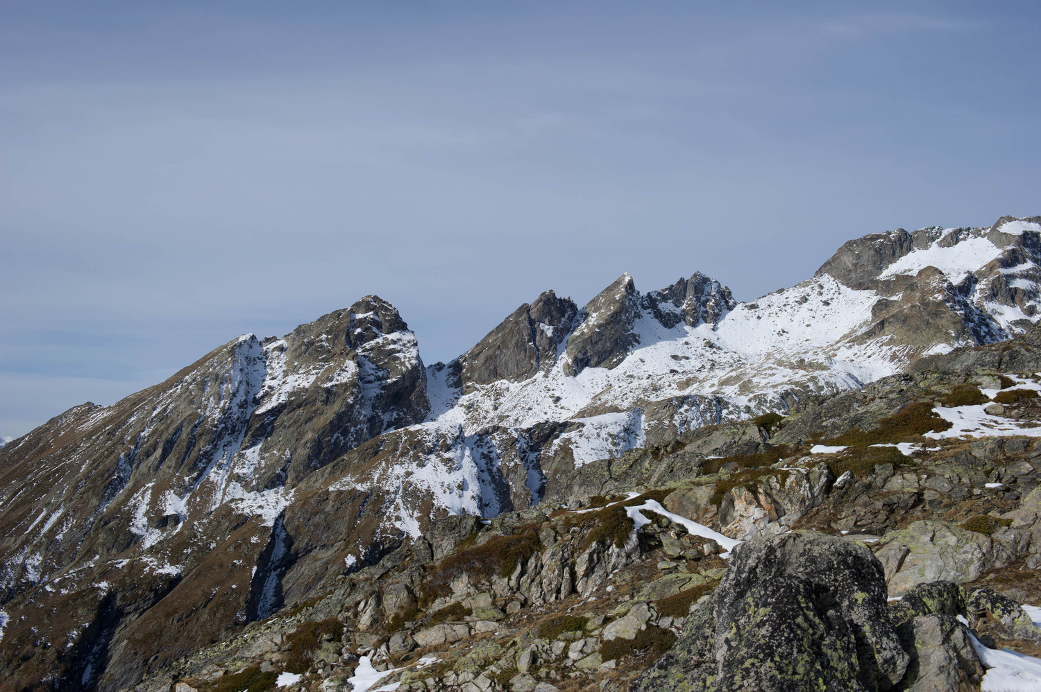 Chistehorn