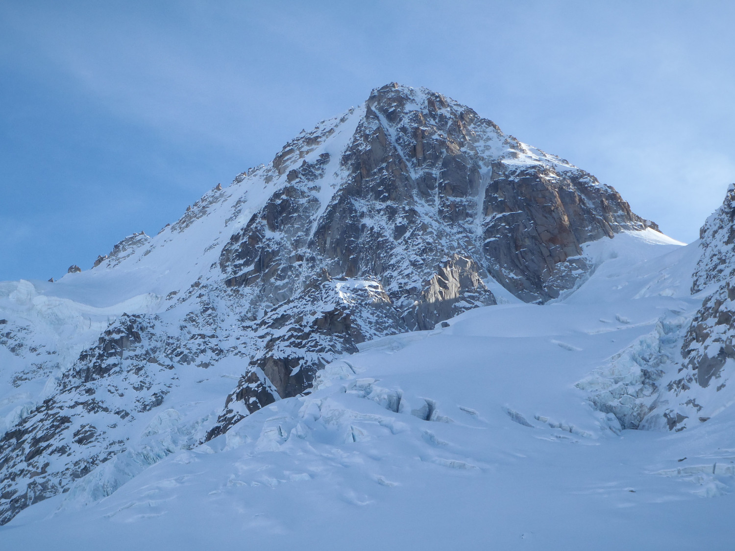 chardonnet