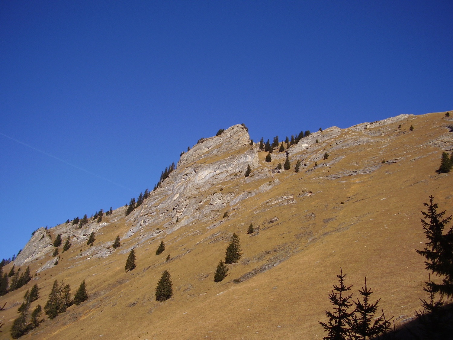Premiers rayons de soleil
