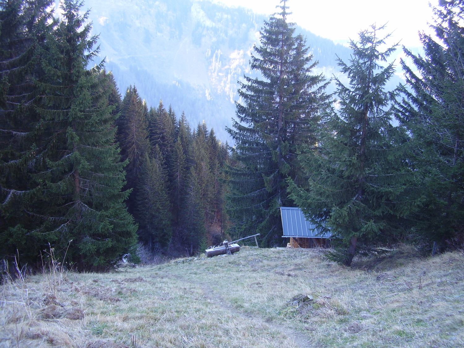 A la sortie de la forêt