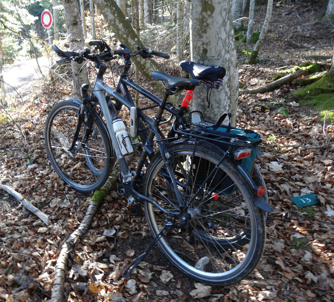 vélos