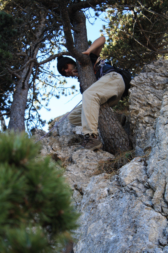 Martine dans un passage arboricol de l'arête
