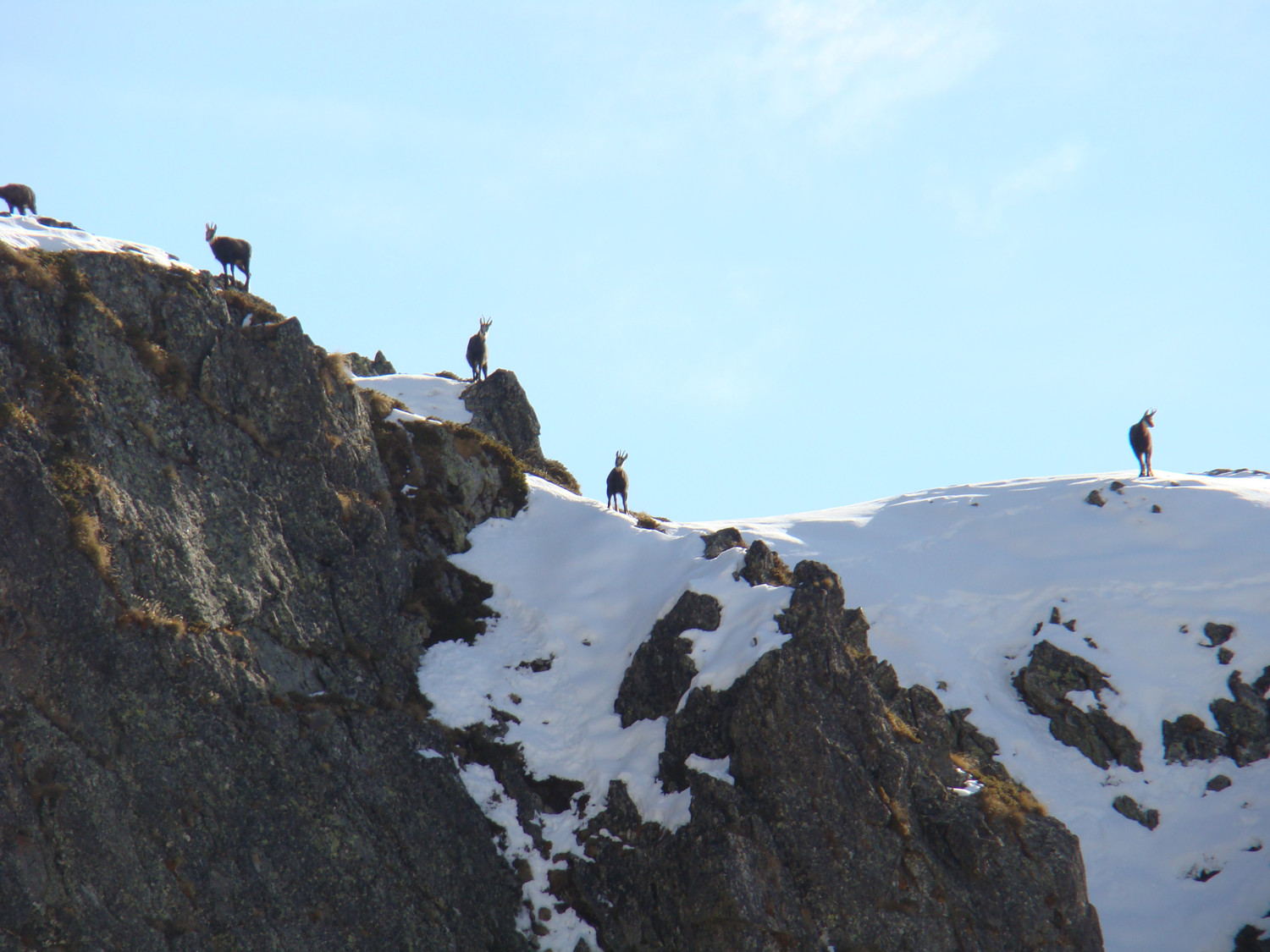 Seuls...et cette belle rencontre au col des colombes !