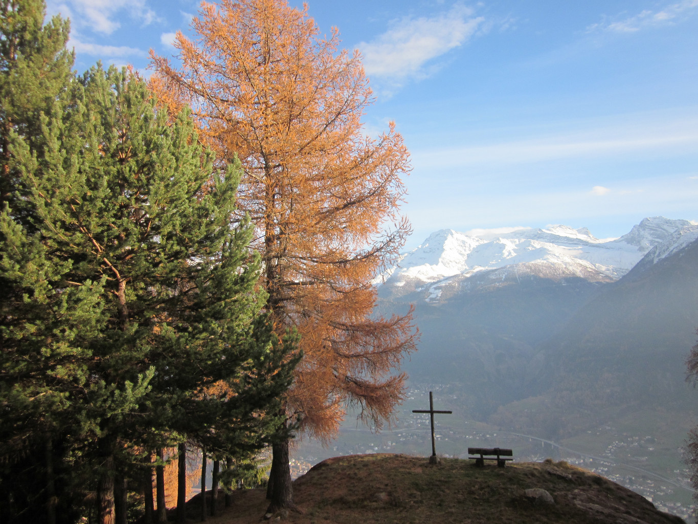 Birgischwald