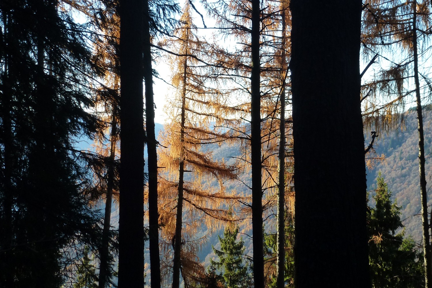 Autunno