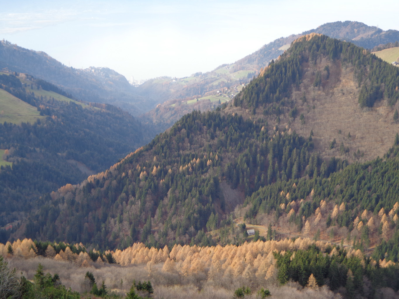 Couleurs d'automne sur les hauts de Montreux