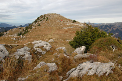 Charmant Som, par omα