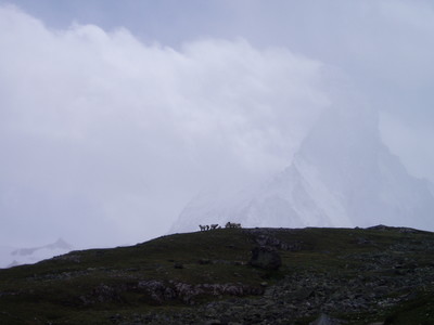 Le jeu du sommet, sans sommet. Le jeu du sommet, sans sommet.