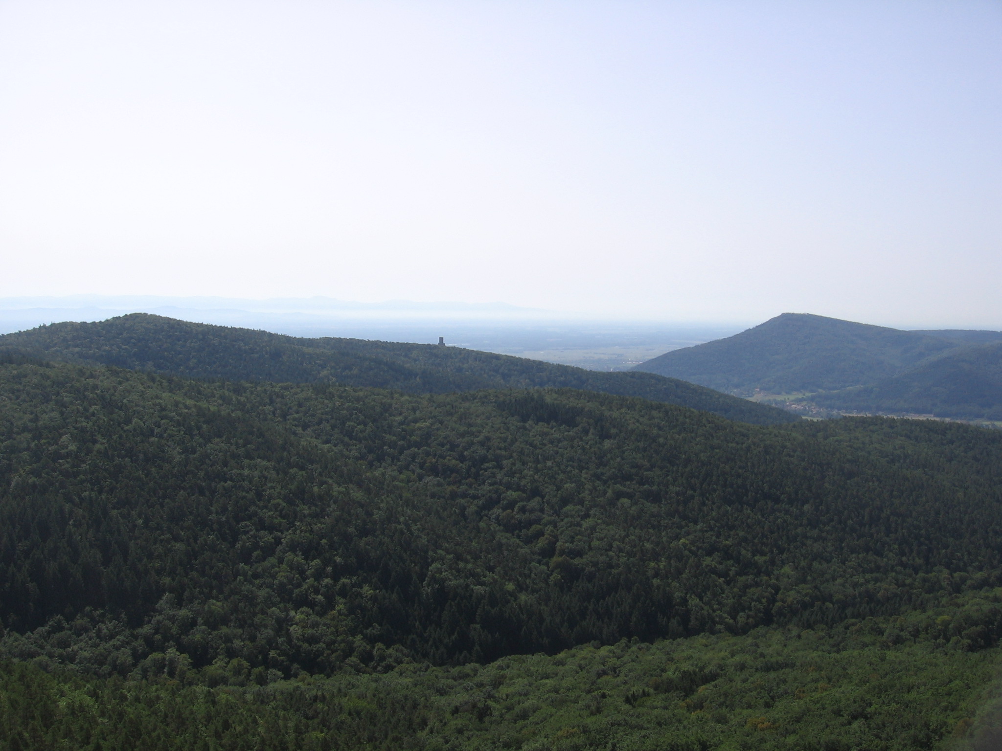 Vue depuis le Falkenstein