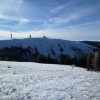 Feldberg 1493m