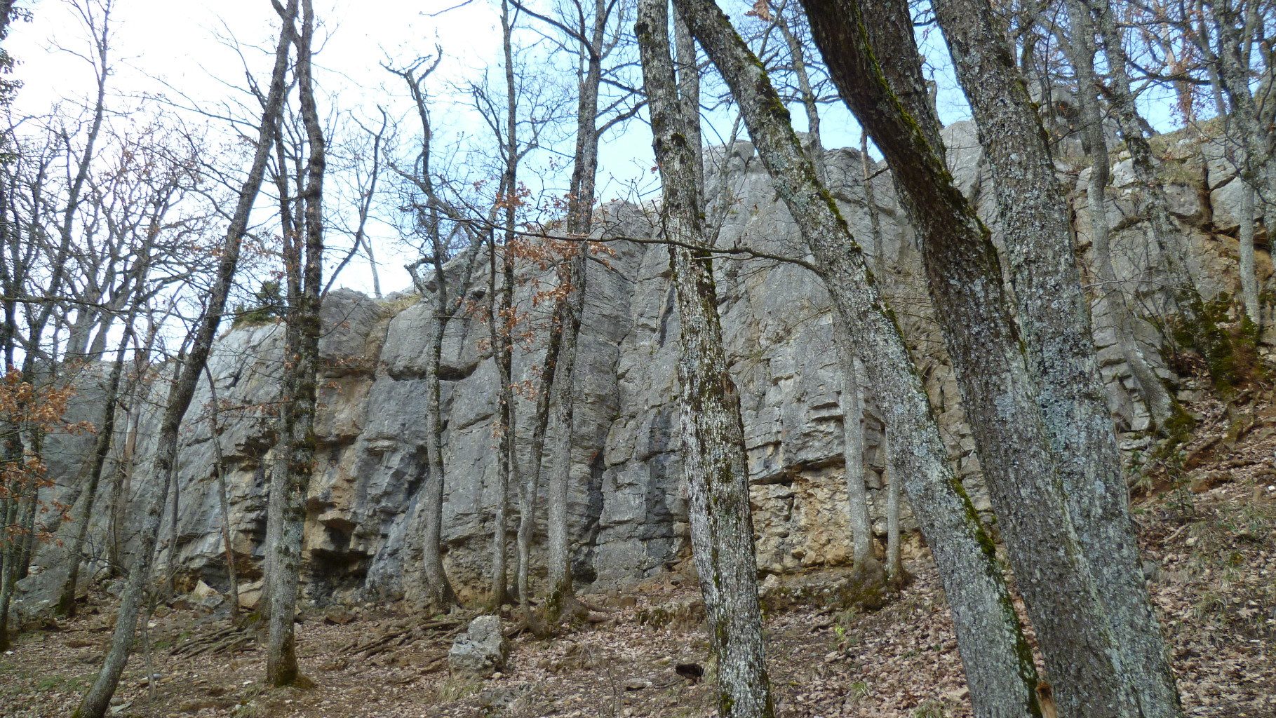 La barre de Monnetier