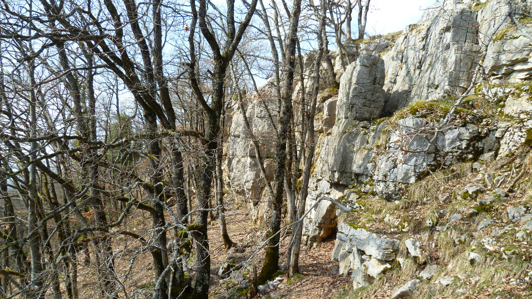 Vue de coté