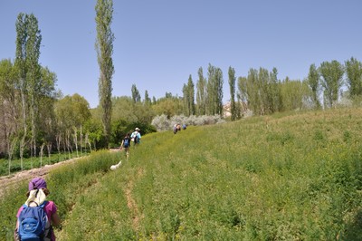 Juste avant aciksaray, longer le chemin détrempé par les champs cultivés Juste avant aciksaray, longer le chemin détrempé par les champs cultivés
