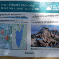Regulació de l'escalada al sector Montgròs - Plecs del Llibre