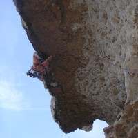 Au bord du toit