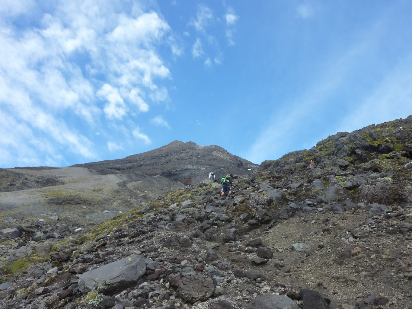 Mount Taranaki / Egmont NW face from North Egmont visitor's centre