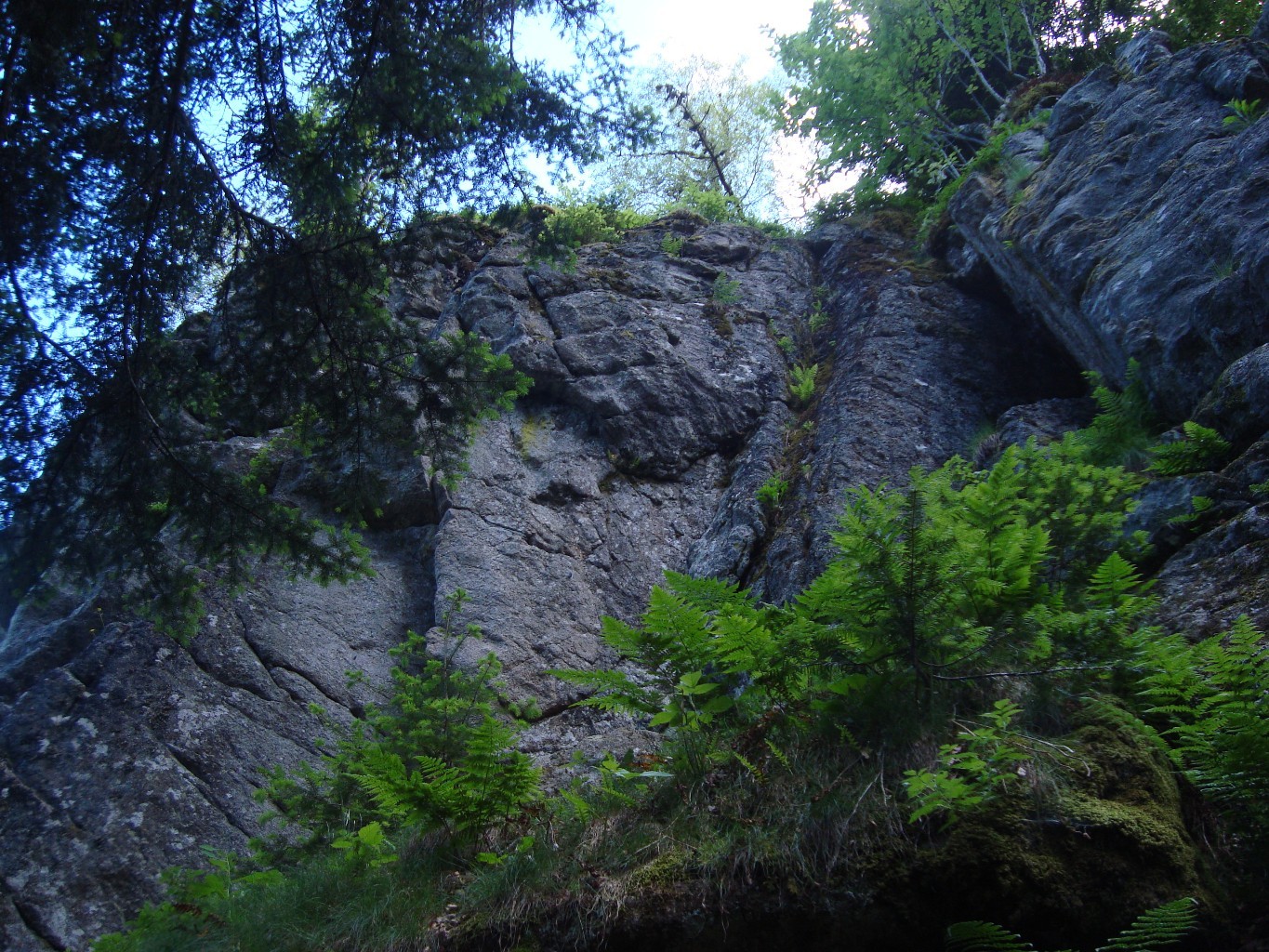 Secteur du haut