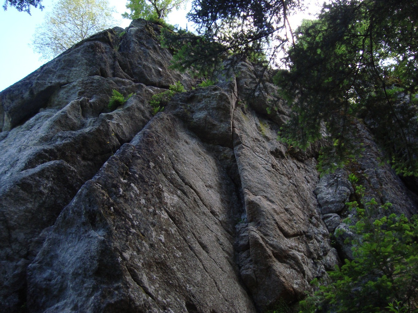 secteur du haut