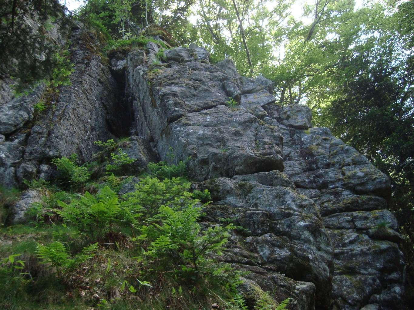 Secteur du haut