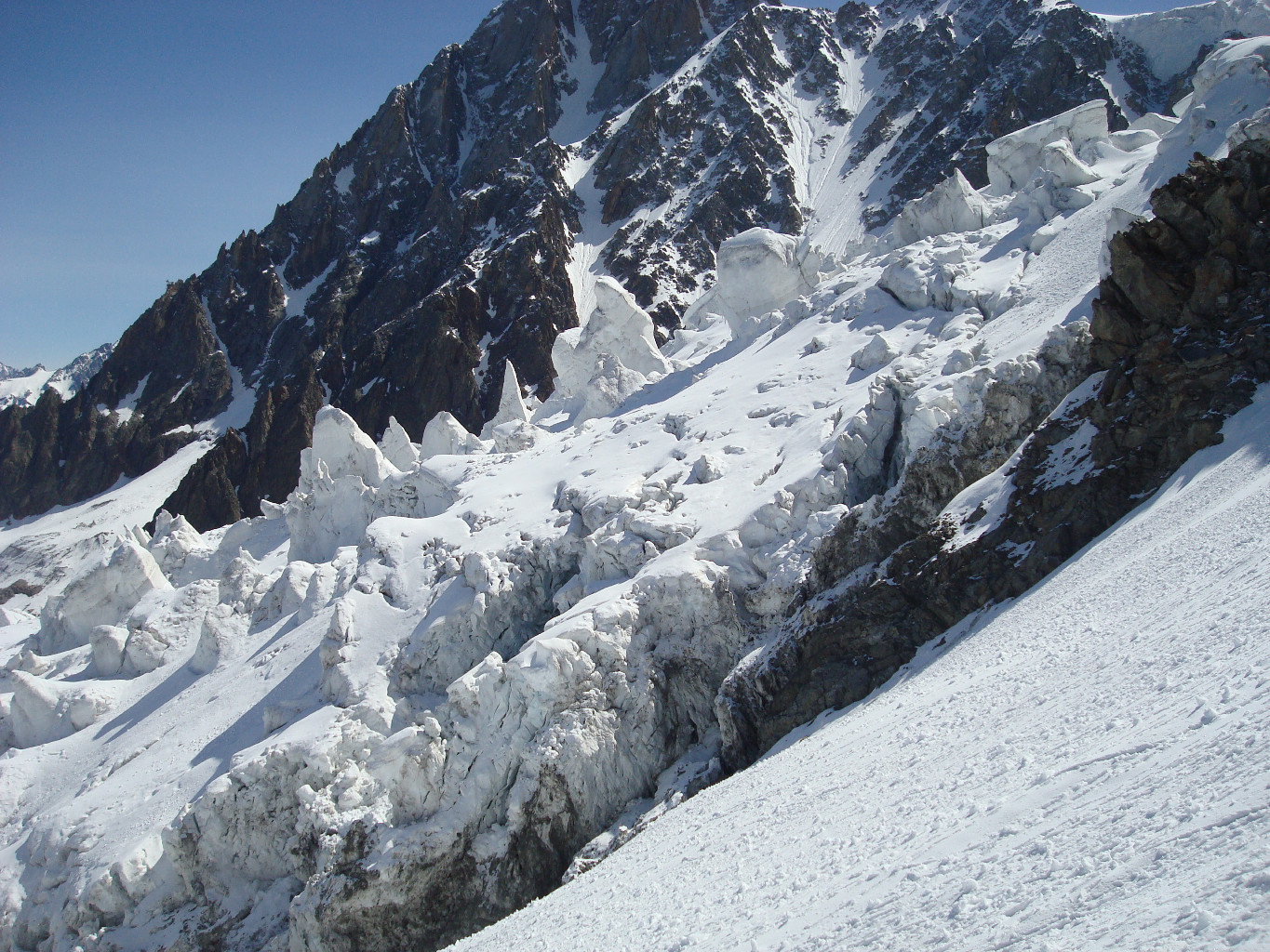 le glacier vit