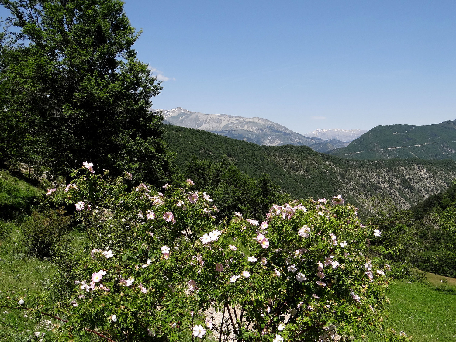 Le retour par le vallon de Bouérys