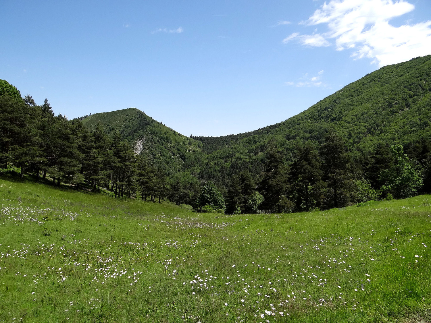 Col de St Jeannet