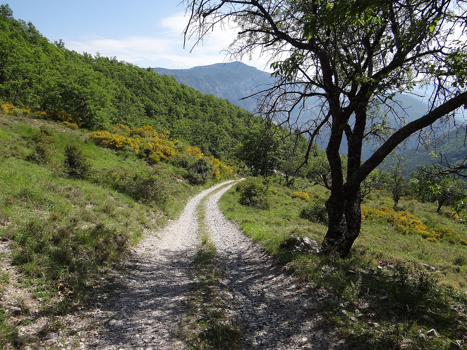 Reprise de la piste sous la Colle
