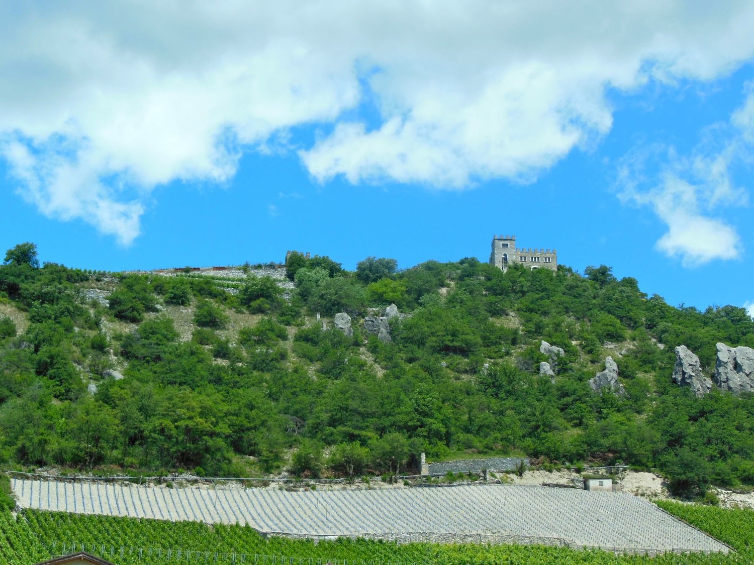 Le château de Ravouir