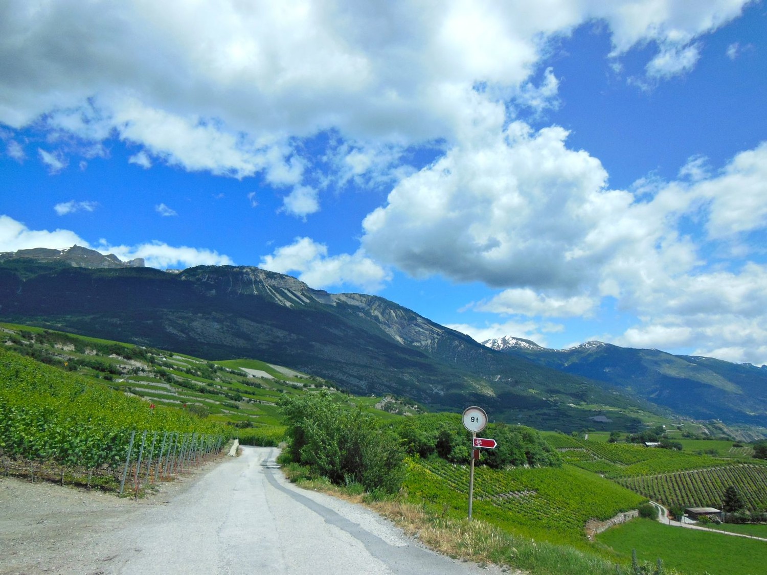 Direction Salgesch
