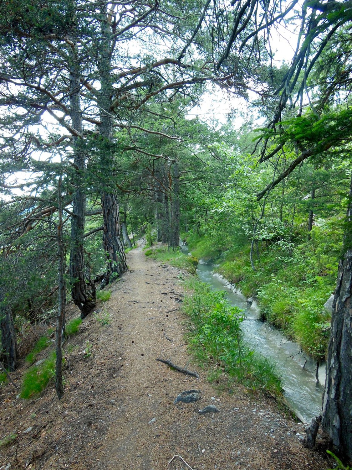 Bisse de Planige