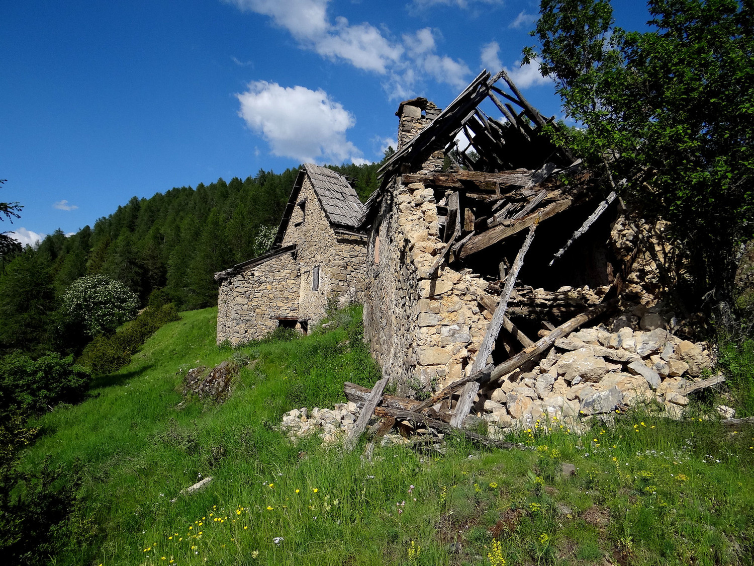Le Pommier