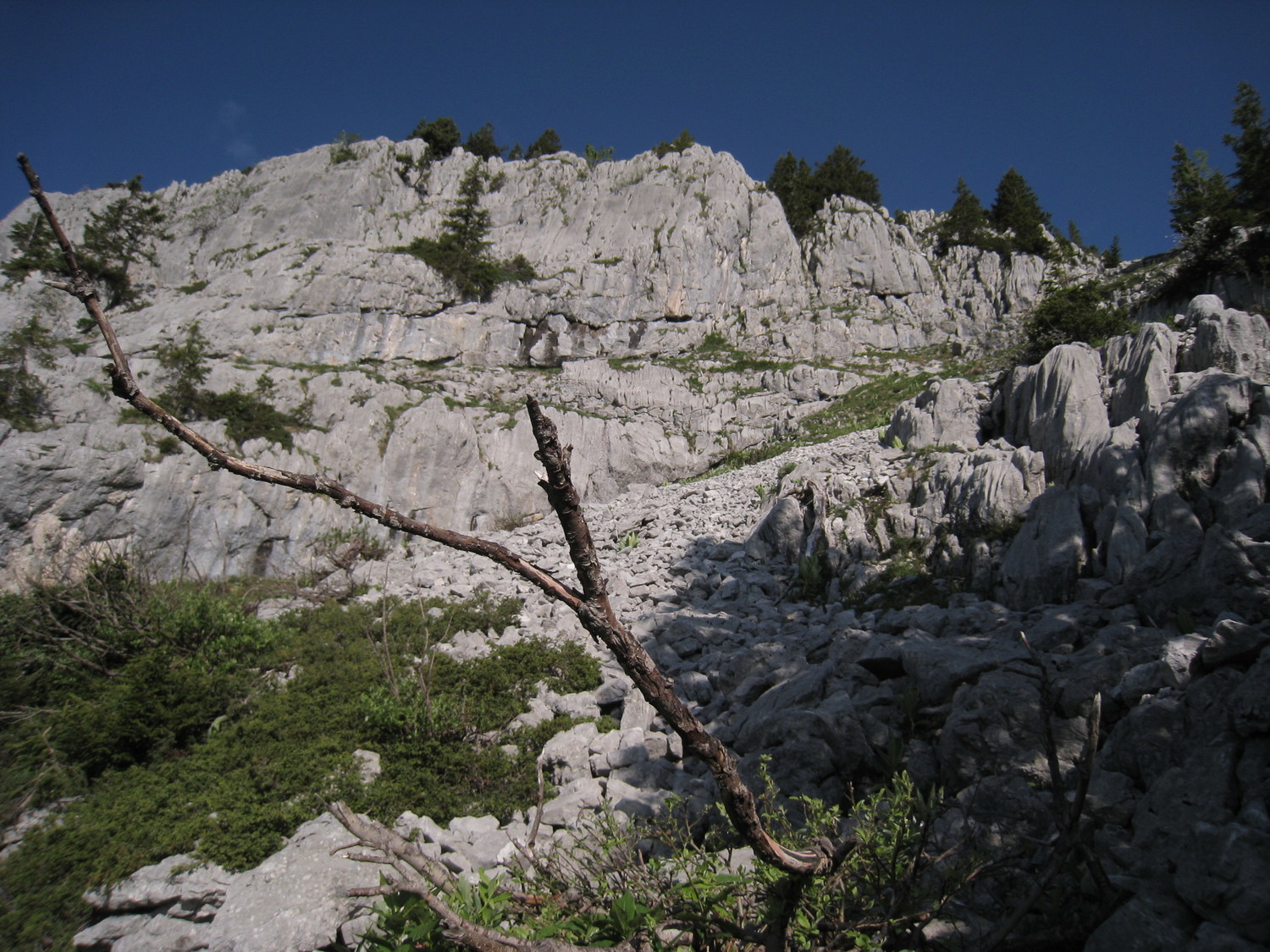 Roc des Tours- vers la falaise