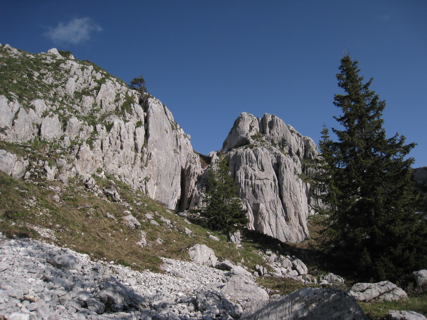 Roc des Tour- vers la pointe 1750m