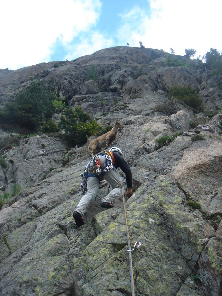 compétition au départ