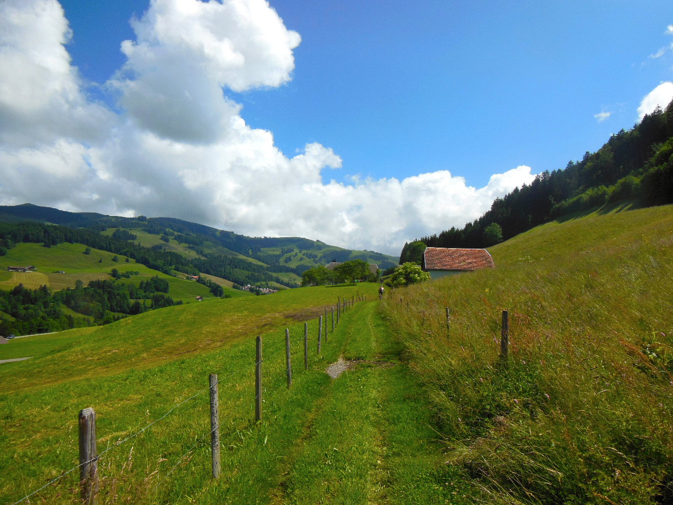 Le single du Chemin du Gruyère