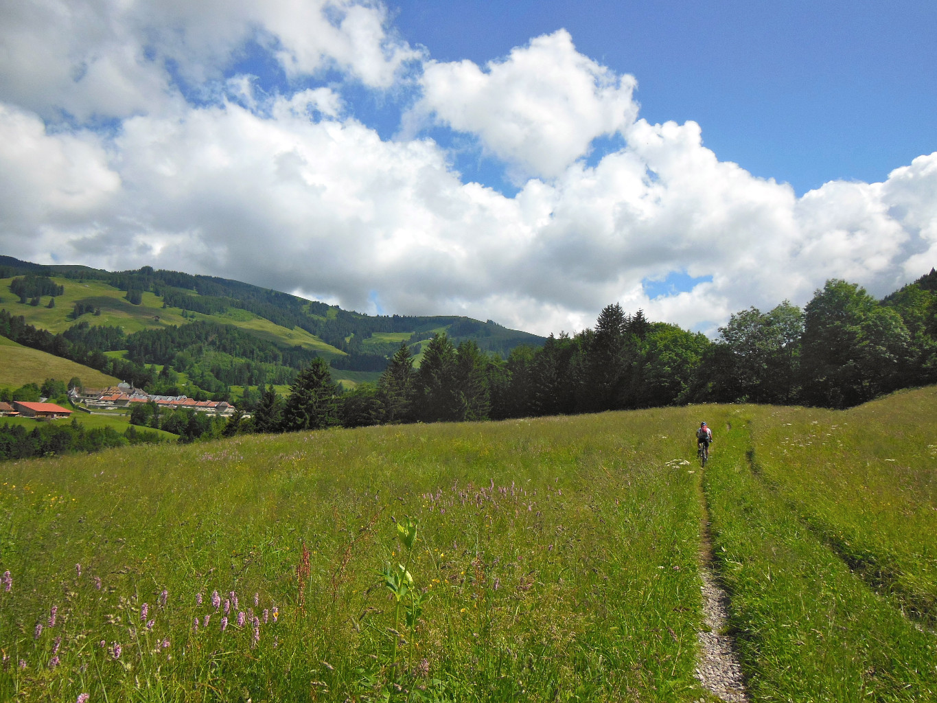 Herbeux