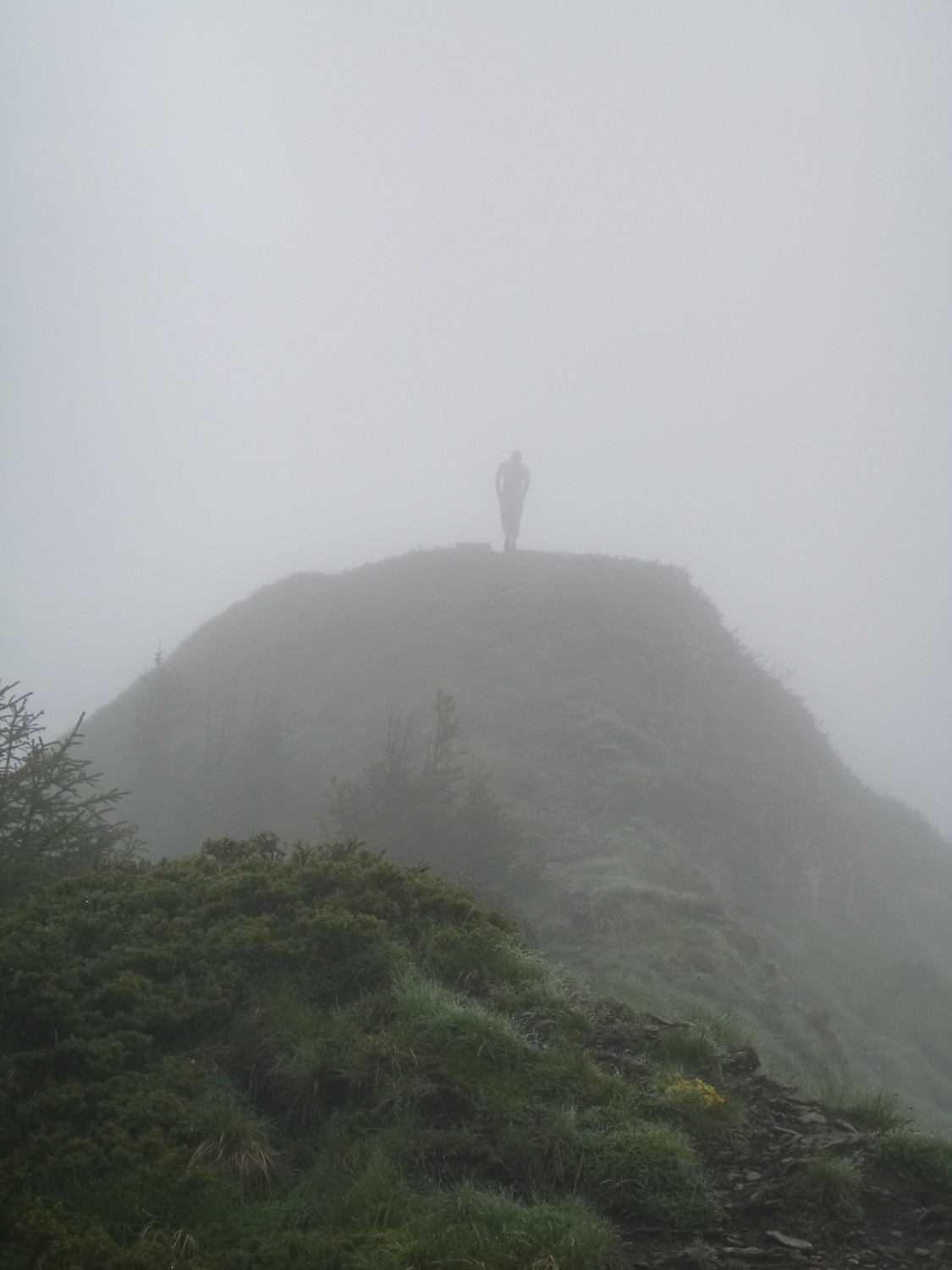Dent de Cons