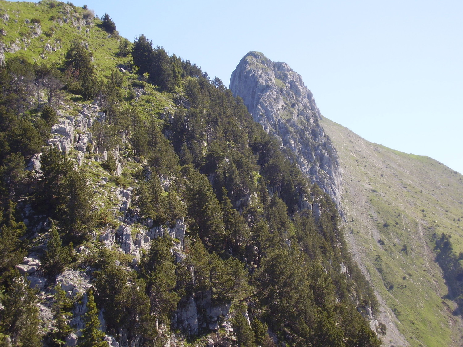 Le sommet encore loin !