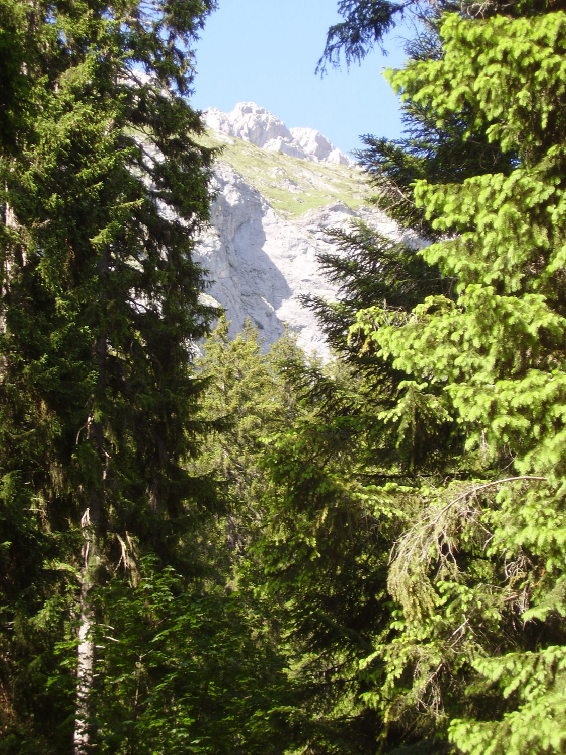 Sommet du jour vu depuis le bas du couloir du Feraillon