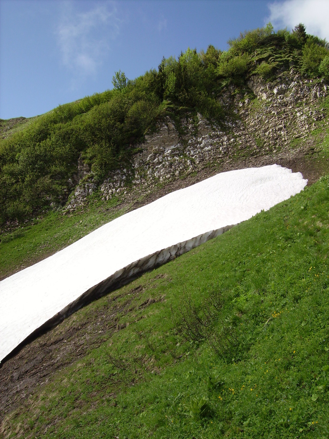 Ourlet de neige sous Aufférand