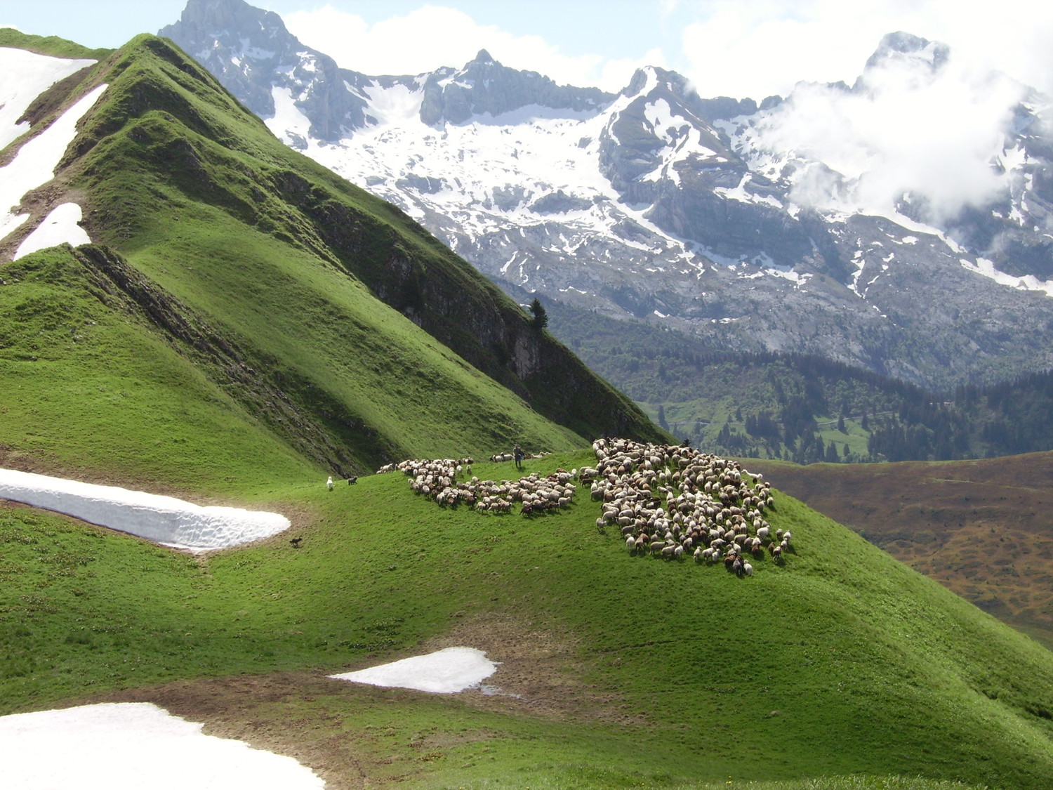 Vers l'herbe des pentes