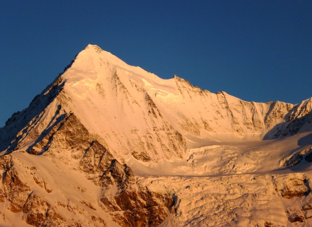 Weisshorn, face E et Bisgletscher