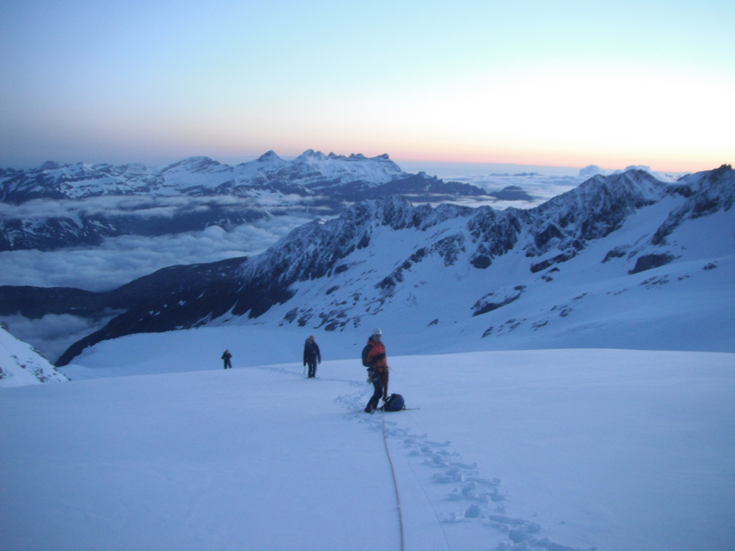making tracks in the morning