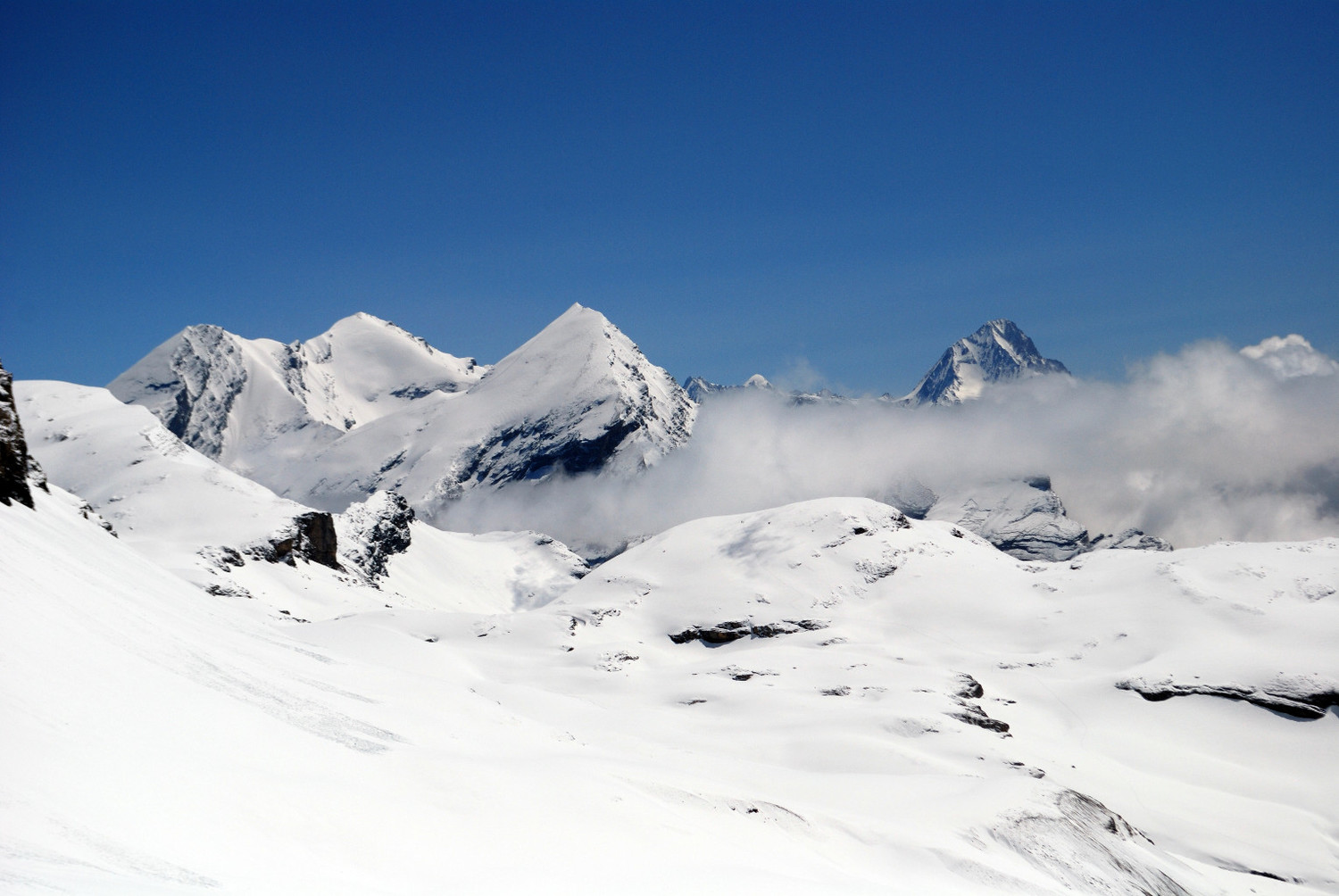 La tiade Altes 3629m,Balmhorn 3698m e Rinderhorn 3448m con a destra il Bietschhorn 3934m salendo al Wildstrubel