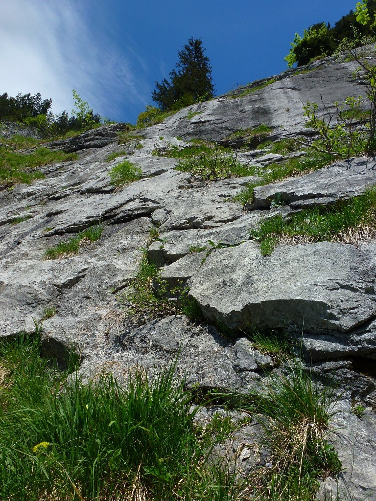 Dans la voie