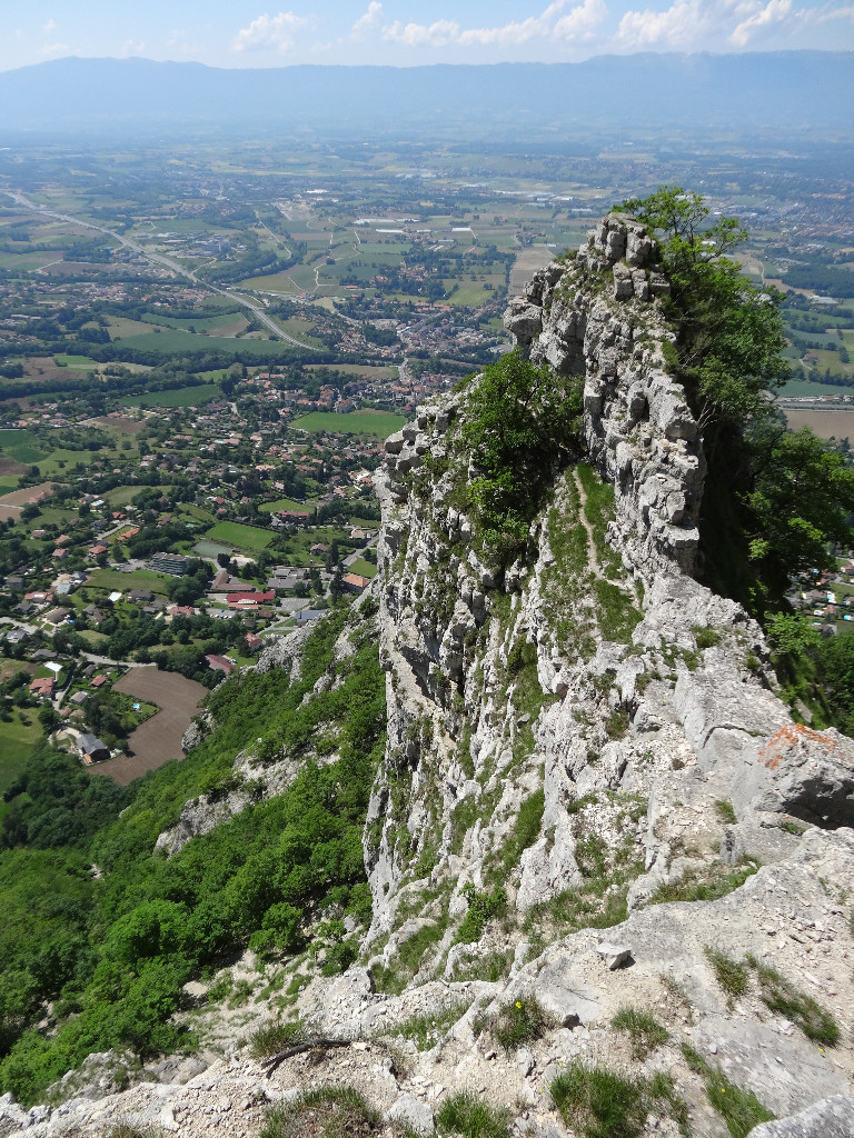 Fantastique vaisseau amiral