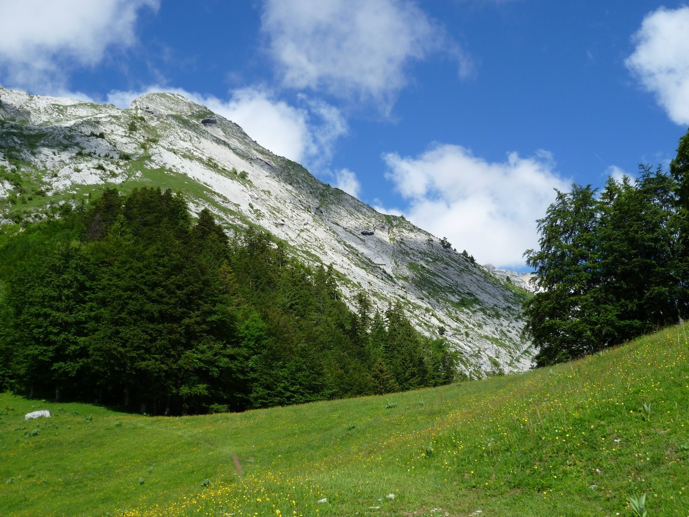 Vue vers la voie