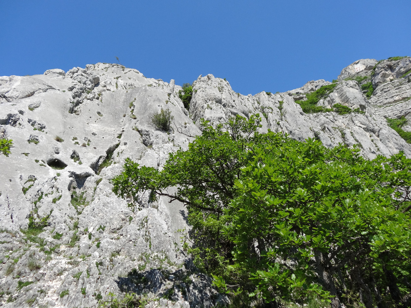 Les beaux rochers du haut des Etiollets
