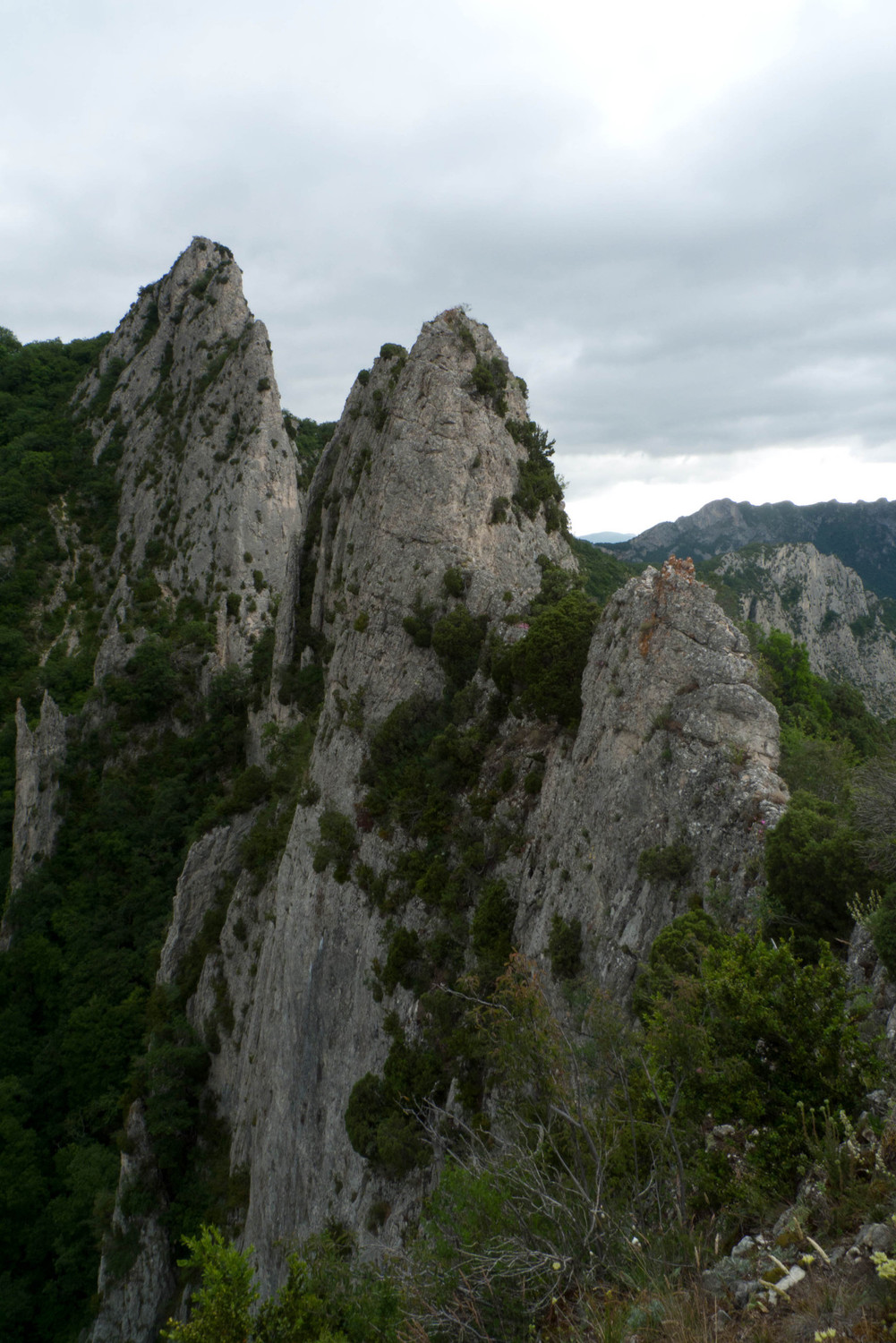 Vue du sommet de l'aiguille
